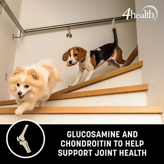 4health with Wholesome Grains Chicken & Rice Formula Adult Dry Dog Food