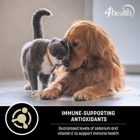 4health with Wholesome Grains Puppy Formula Dry Dog Food