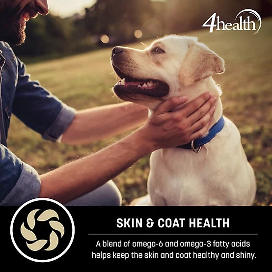 4health with Wholesome Grains Puppy Formula Dry Dog Food