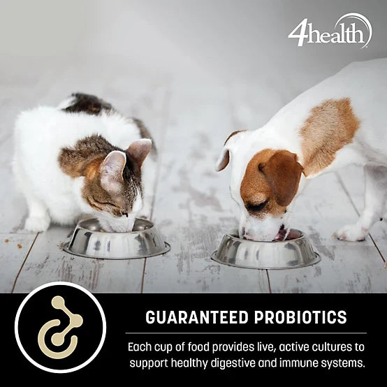 4health with Wholesome Grains Small Bites Formula Adult Dry Dog Food