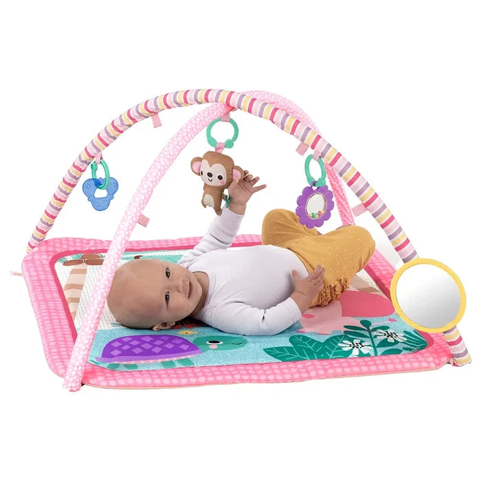 Bright Starts - Value Activity Gym - Pink