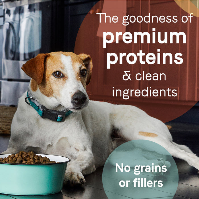 Canidae Grain Free PURE Lamb & Pea Recipe Dry Dog Food