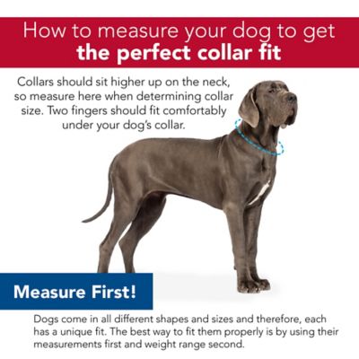 Coastal Pet Water  and  Woods Adjustable Dog Collar Camo Grass