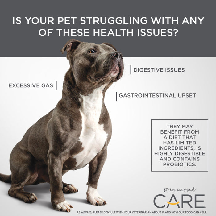 Diamond CARE Sensitive Stomach Formula Dry Dog Food