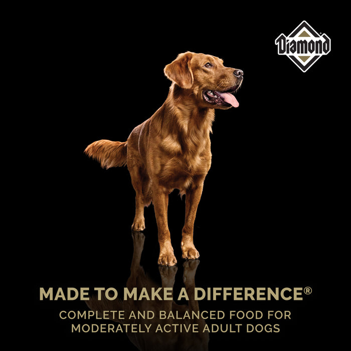 Diamond Maintenance Dry Dog Food Formula