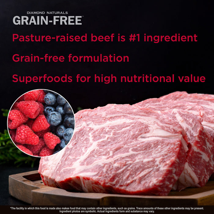 Diamond Naturals Grain-Free Pasture-Raised Beef & Sweet Potato Dry Dog Food Formula