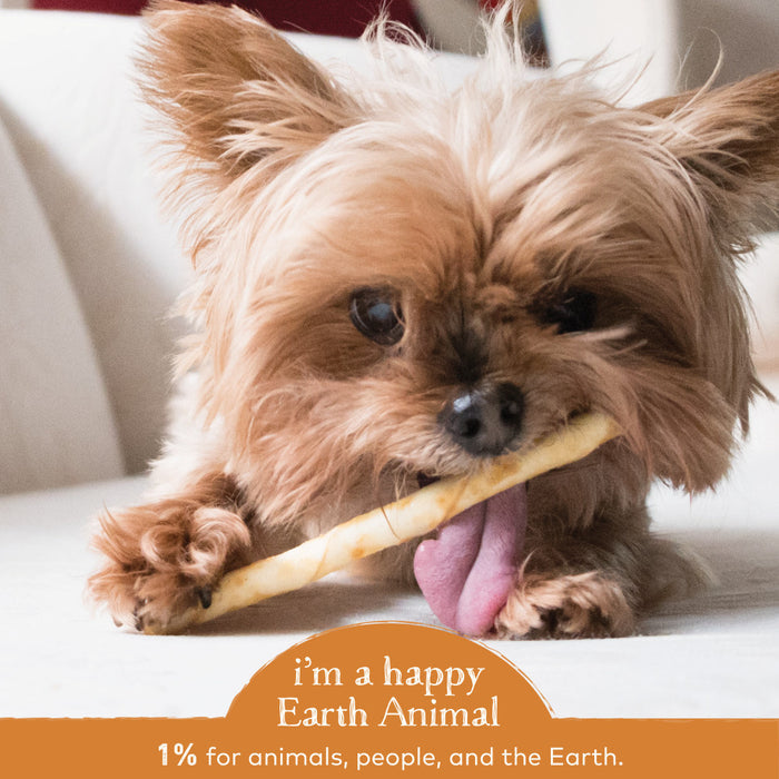 Earth Animal No-Hide Chicken Stix Dog & Cat Chews