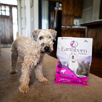Earthborn Holistic EBH 4LB MEADOW FEAST