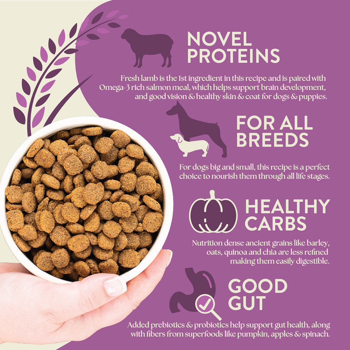 Earthborn Holistic Unrefined Roasted Lamb with Ancient Grains & Superfoods Dry Dog Food 25 lb