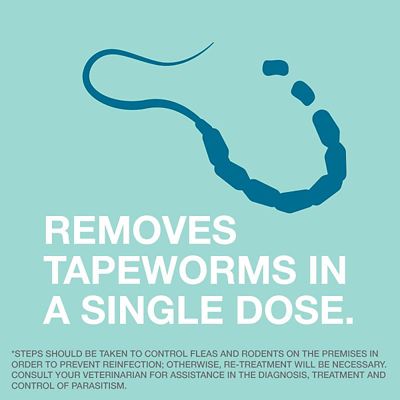 Elanco Tapeworm Dewormer for Dogs, 5 Tablets