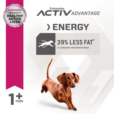 Eukanuba Weight Control Small Breed Dry Dog Food, 4 lb.