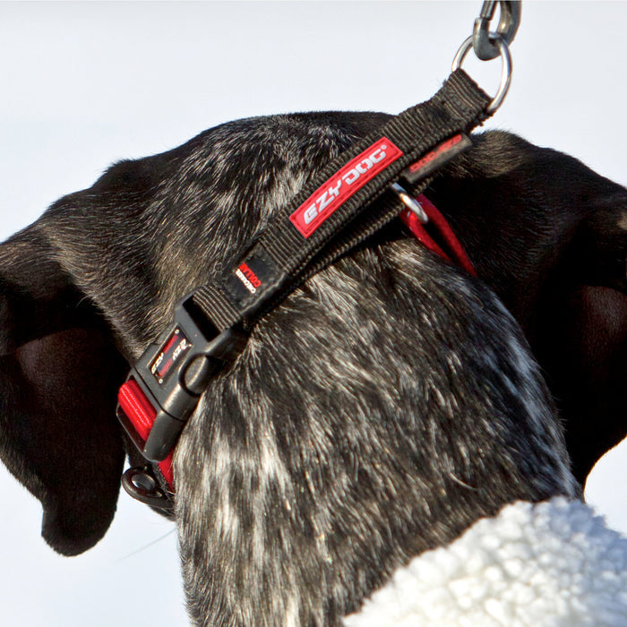 EzyDog Checkmate Dog Collar, Red