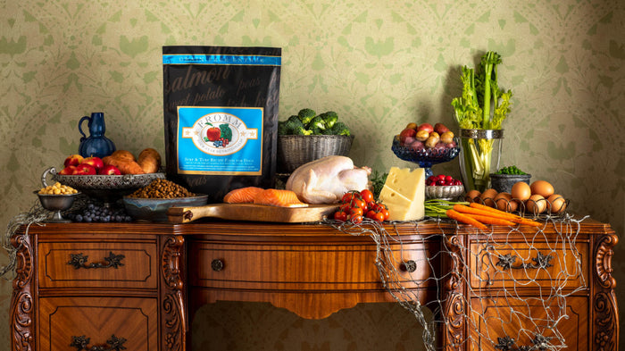 Fromm Four Star Surf & Turf Recipe Dry Dog Food