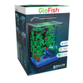 GloFish 5-Gallon Aquarium Kit