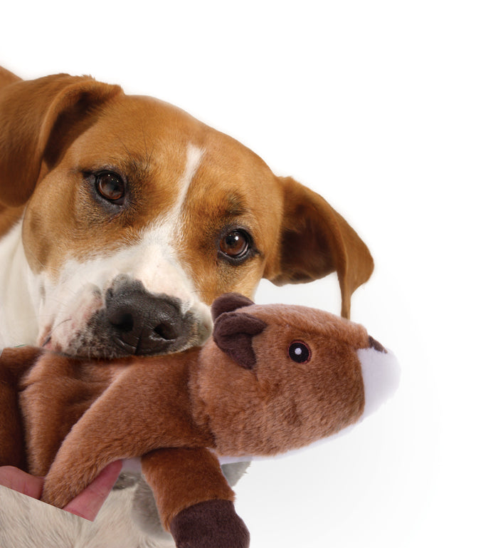 goDog Flatz Squirrel Squeaky Plush Flattie Dog Toy, Chew Guard Technology, Brown