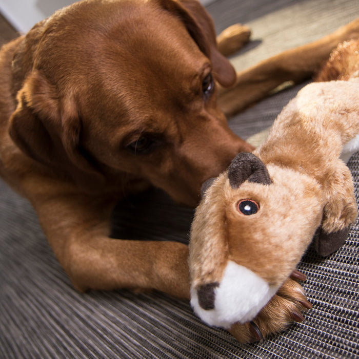 goDog Flatz Squirrel Squeaky Plush Flattie Dog Toy, Chew Guard Technology, Brown