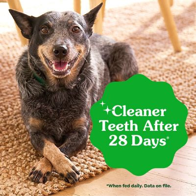 Greenies Dental Dog Treats for Large Dogs 50-100 lb.