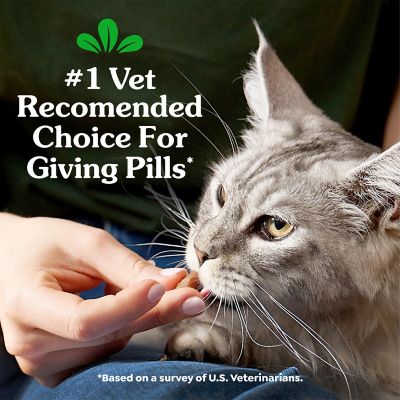 Greenies Feline Pill Poockets for Cats Natural Soft Cat Treats, Salmon Flavor, 1.6 oz. pk., 45 ct.