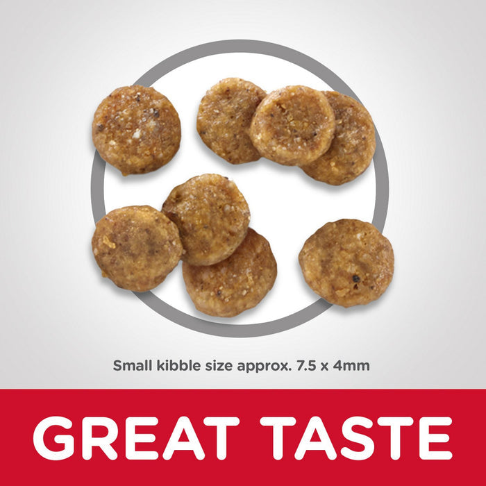 Hill's Science Diet Adult Sensitive Stomach & Skin Small & Mini Breed Chicken Recipe Dry Dog Food