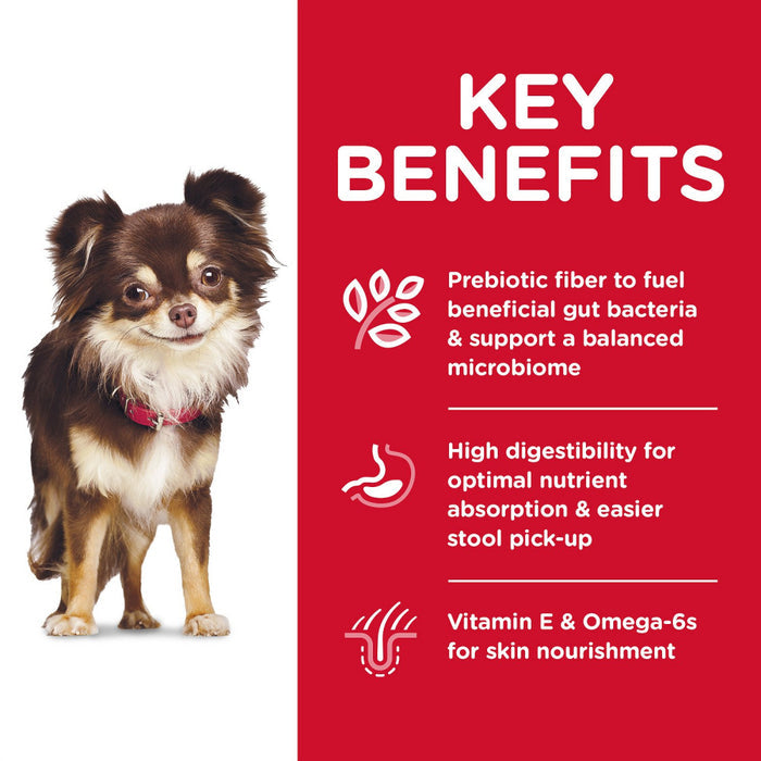 Hill's Science Diet Adult Sensitive Stomach & Skin Small & Mini Breed Chicken Recipe Dry Dog Food