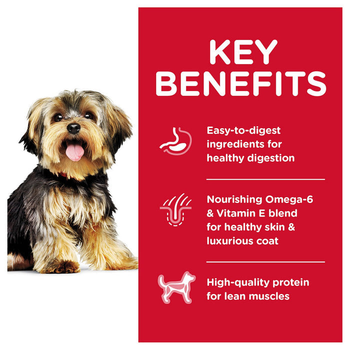 Hill's Science Diet Adult Small Paws Chicken Meal & Rice Recipe Dry Dog Food