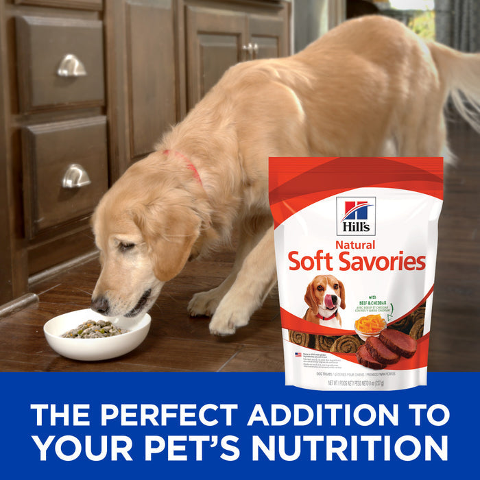 Hill's Science Diet Soft Savories Beef & Cheddar Dog Treats