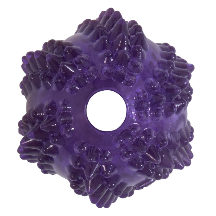 JW Bristl-ee Cactus Ball Puppy Toy