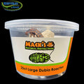 Mack's Natural Reptile Food Live Dubia Roaches