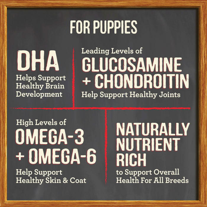 Merrick Dry Puppy Food Real Chicken & Sweet Potato Grain Free Dog Food Recipe