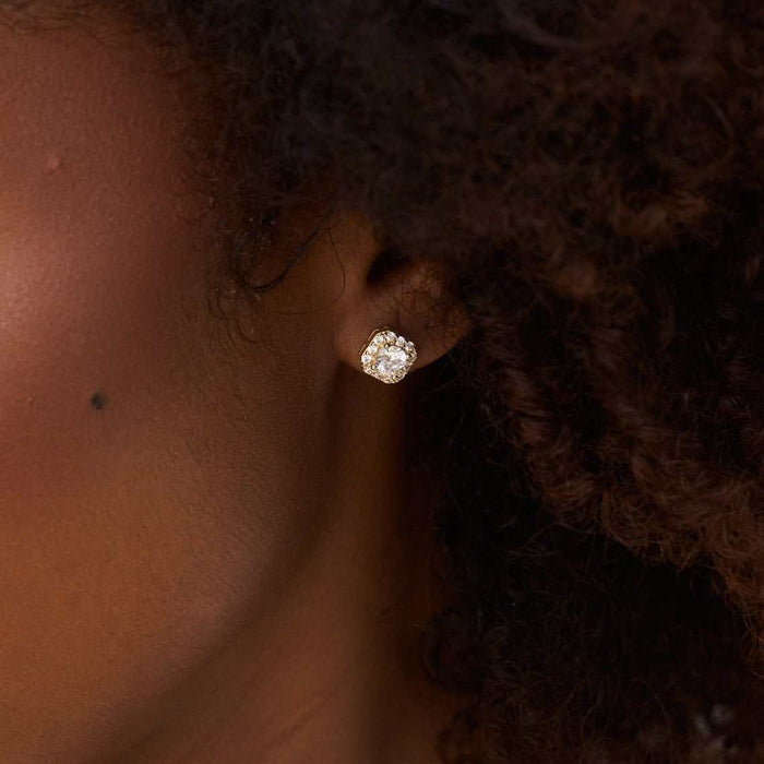 Micro Clustered Diamond Earrings in Yellow Gold