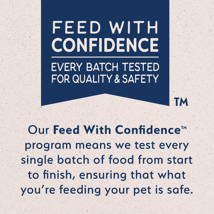 Natural Balance® Limited Ingredient Grain Free Salmon & Green Pea Recipe Cat Dry