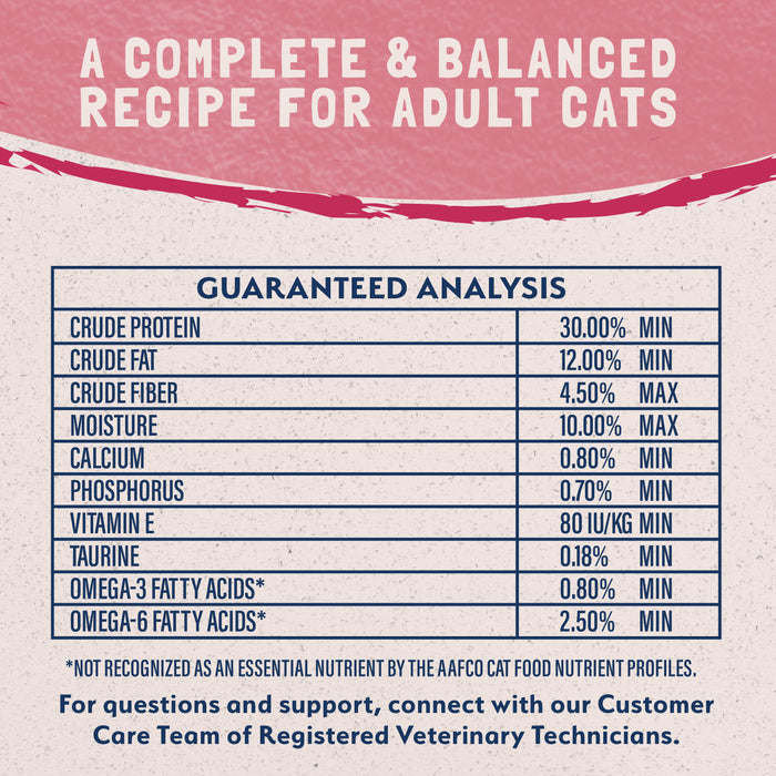 Natural Balance® Limited Ingredient Grain Free Salmon & Green Pea Recipe Cat Dry