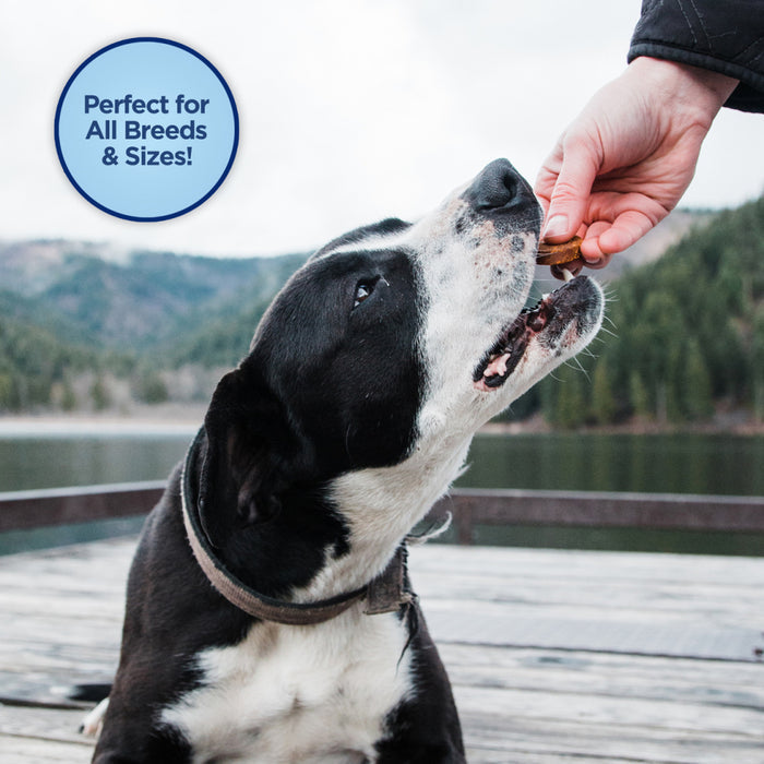 Natural Balance Rewards Jumpin' Stix With Real Venison Dog Treats