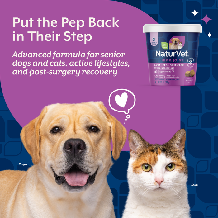 NaturVet Advanced Joint Care Hip & Joint Supplement for Dogs and Cats, Bacon and Chicken Flavor, 70 Count