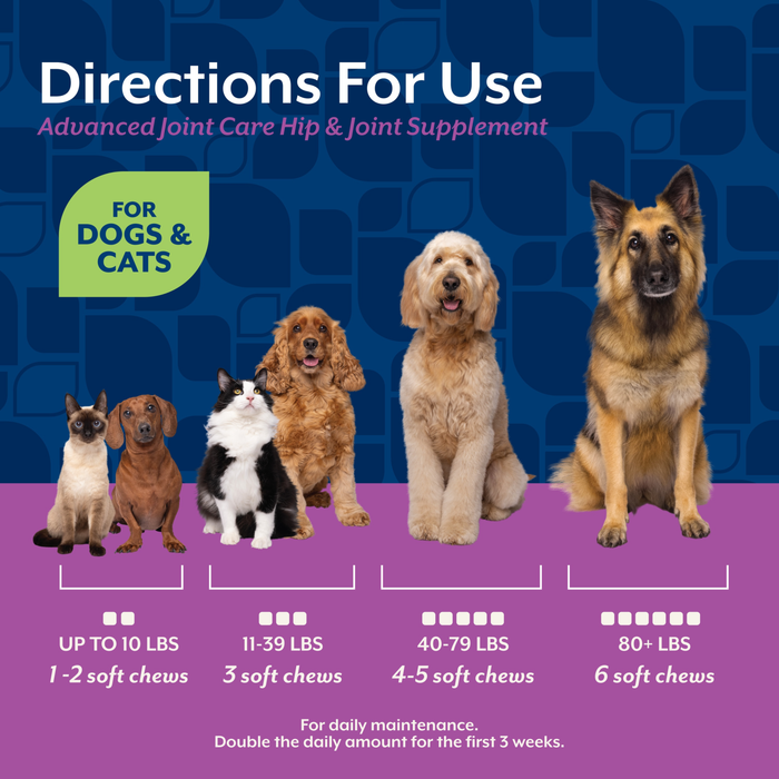 NaturVet Advanced Joint Care Hip & Joint Supplement for Dogs and Cats, Bacon and Chicken Flavor, 70 Count