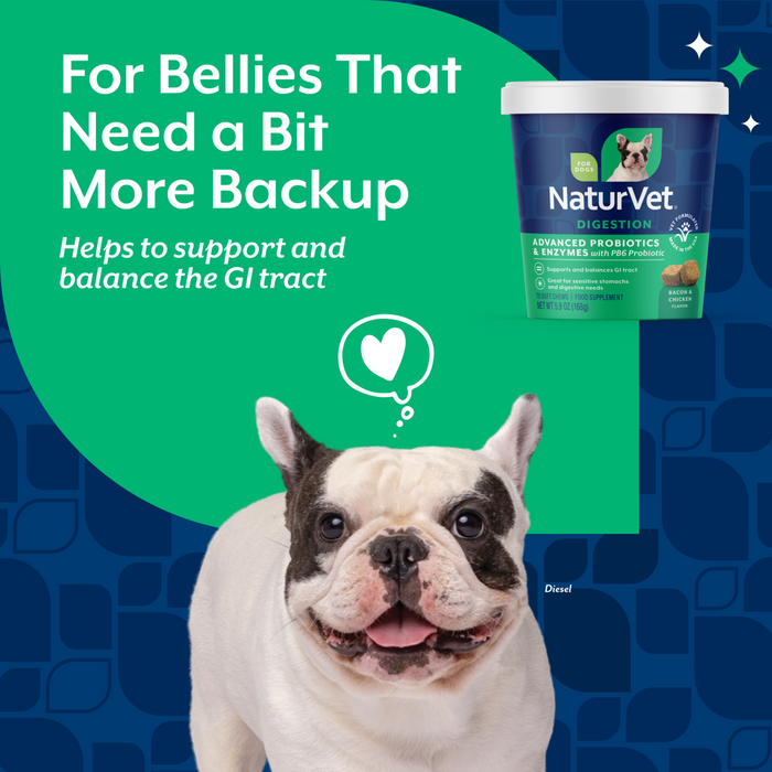 NaturVet Advanced Probiotics & Enzymes Digestion Supplement for Dogs, Bacon & Chicken Flavor, 70 Count