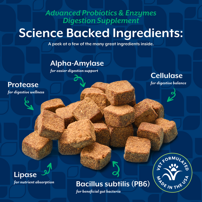 NaturVet Advanced Probiotics & Enzymes Digestion Supplement for Dogs, Bacon & Chicken Flavor, 70 Count