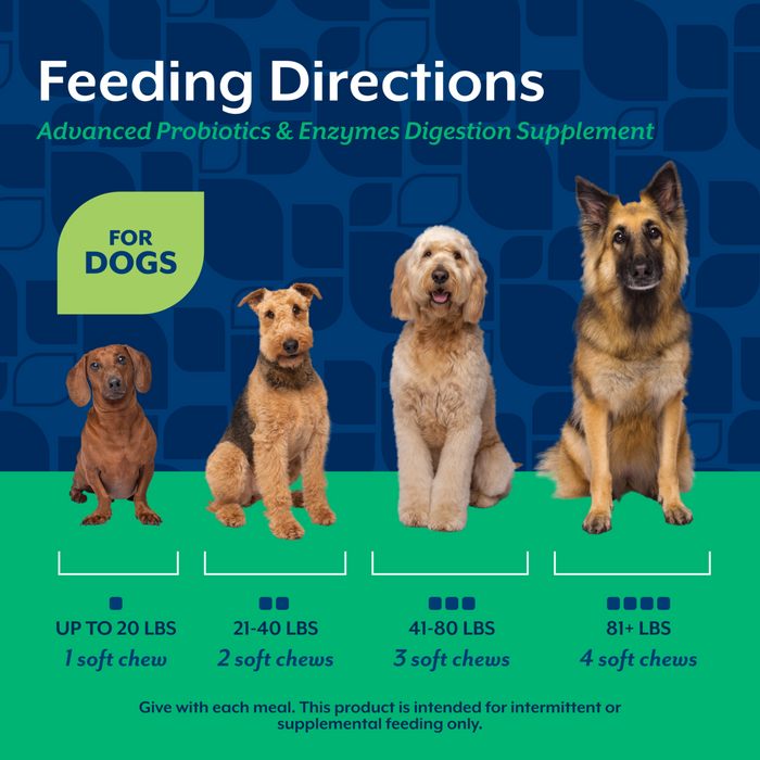 NaturVet Advanced Probiotics & Enzymes Digestion Supplement for Dogs, Bacon & Chicken Flavor, 70 Count