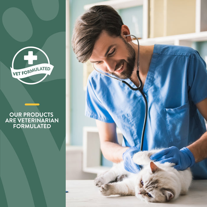 NaturVet Hemp Joint Soft Chew for Cats