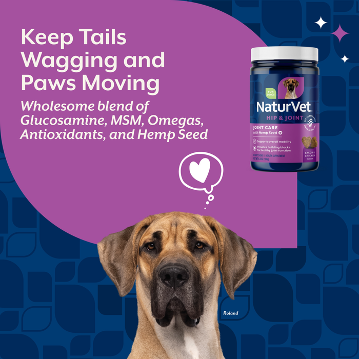 NaturVet Joint Care with Hemp Hip & Joint Supplement for Dogs, Bacon and Chicken Flavor, 60 Count
