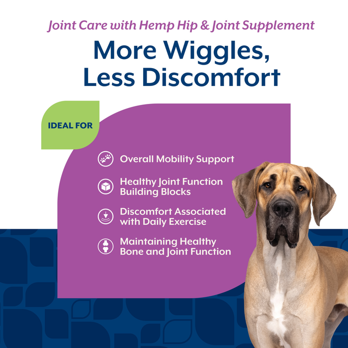 NaturVet Joint Care with Hemp Hip & Joint Supplement for Dogs, Bacon and Chicken Flavor, 60 Count