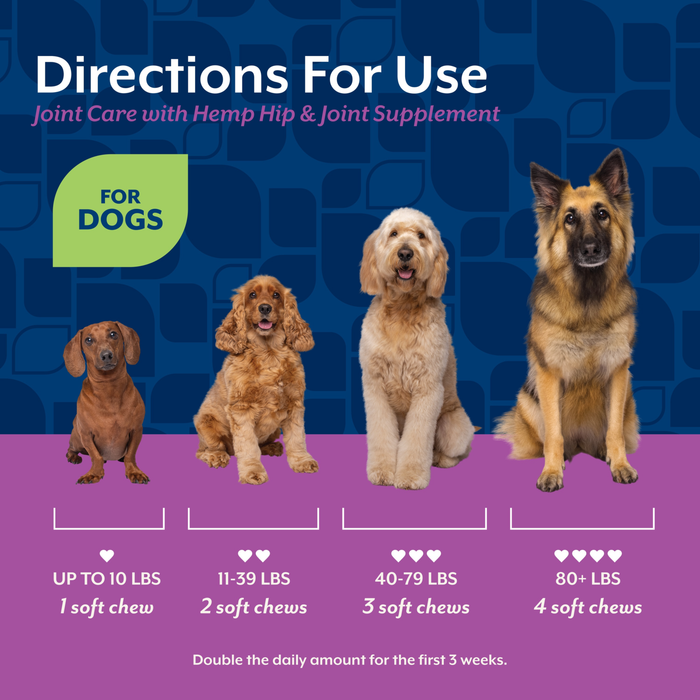 NaturVet Joint Care with Hemp Hip & Joint Supplement for Dogs, Bacon and Chicken Flavor, 60 Count