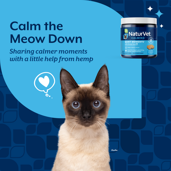 NaturVet Quiet Moments with Hemp Seed Calming Supplement for Cats, Salmon and Bacon Flavor, 60 Count