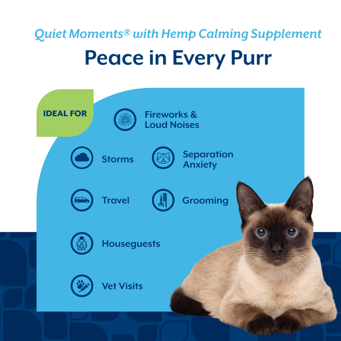 NaturVet Quiet Moments with Hemp Seed Calming Supplement for Cats, Salmon and Bacon Flavor, 60 Count