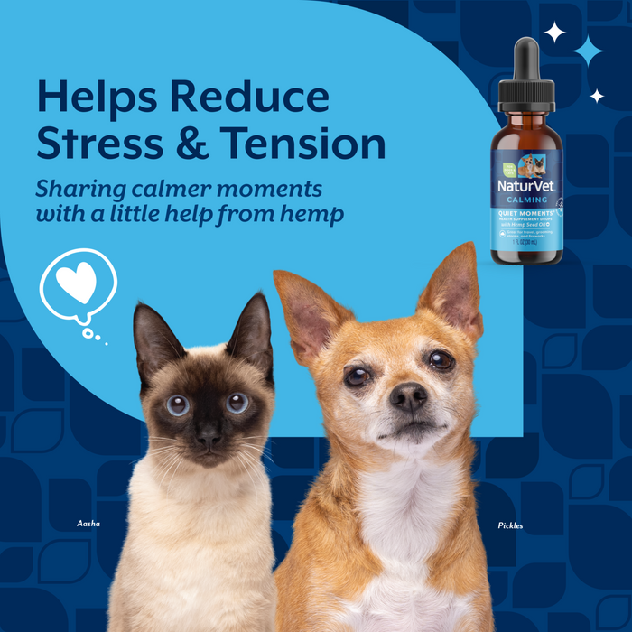 NaturVet Quiet Moments with Hemp Seed Oil Calming Supplement Drops for Dogs and Cats, Bacon Flavor, 1 fl oz