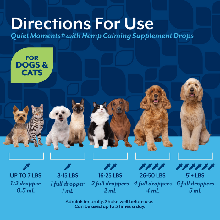 NaturVet Quiet Moments with Hemp Seed Oil Calming Supplement Drops for Dogs and Cats, Bacon Flavor, 1 fl oz