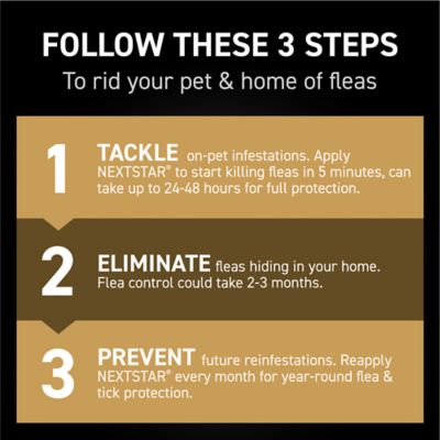 NextStar Fast-Acting Flea and Tick Treatment for Medium Dog 23-44 lb., 3 ct.