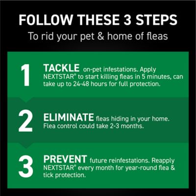 NextStar Flea and Tick Topical Treatment for Large Dogs, 3 ct.