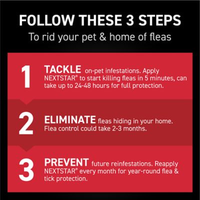 NextStar Flea and Tick Topical Treatment for X-Large Dogs, 3 Month Supply, 3 ct.