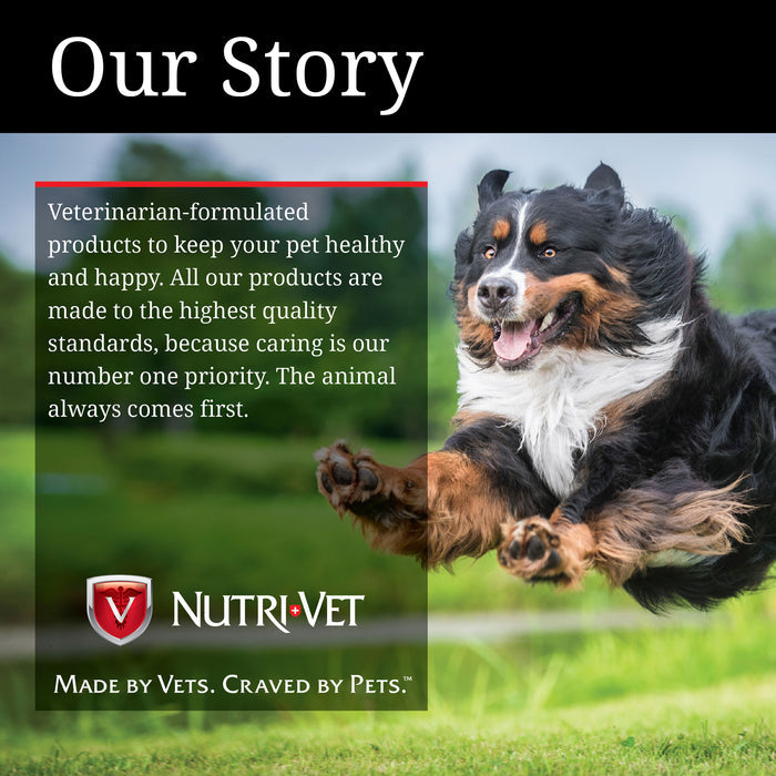 Nutri-Vet Hip & Joint Extra Strength Soft Chews 60 Count